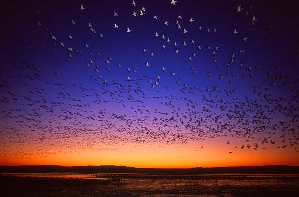 &copy; 2000 KenRockwell.com