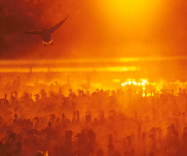 &copy; KenRockwell.com