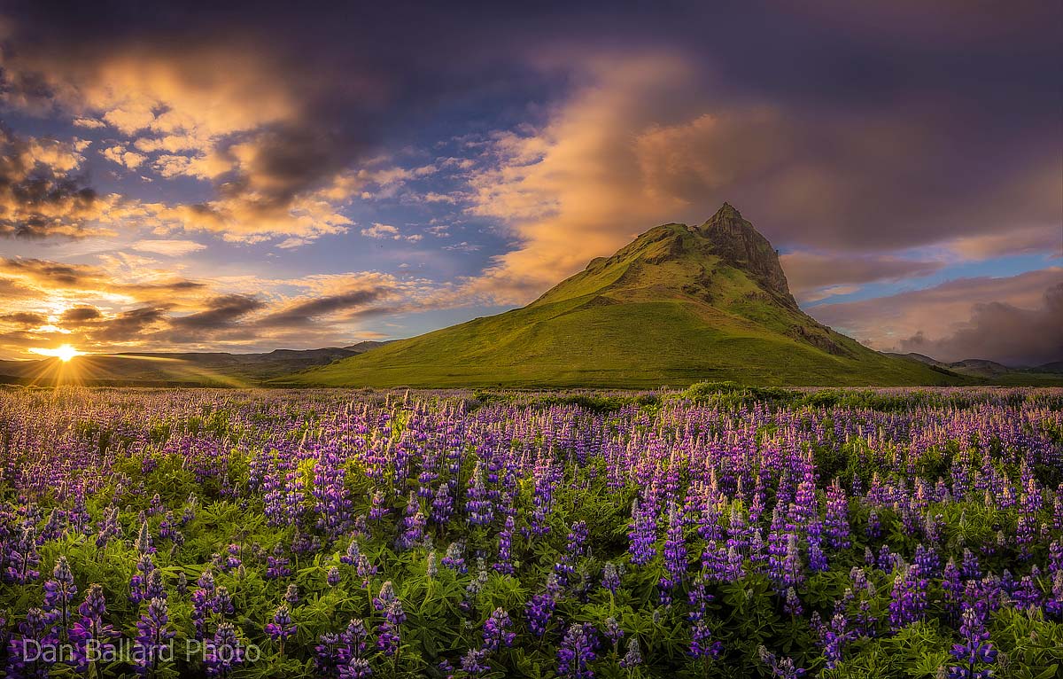 Dan Ballard Workshops