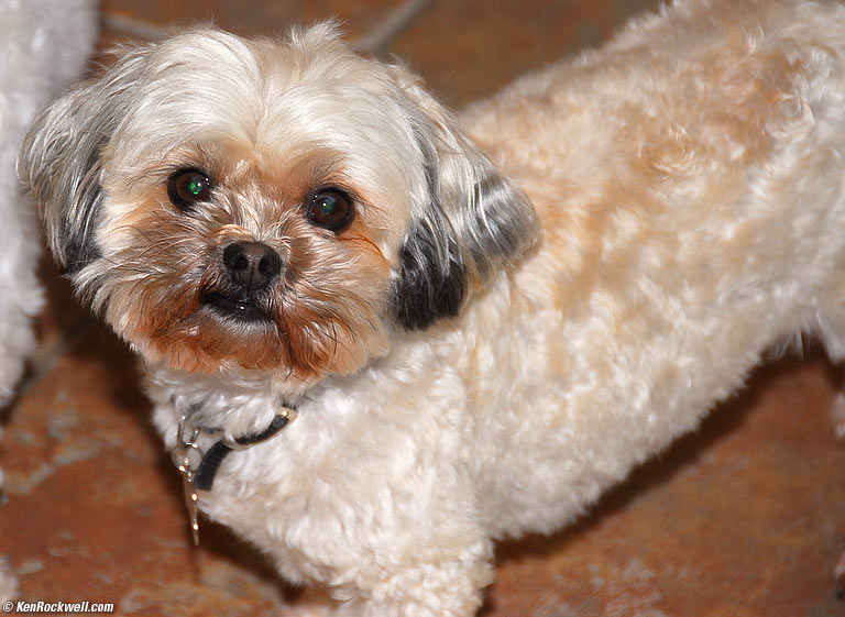 Megan, Christmas Day 2005