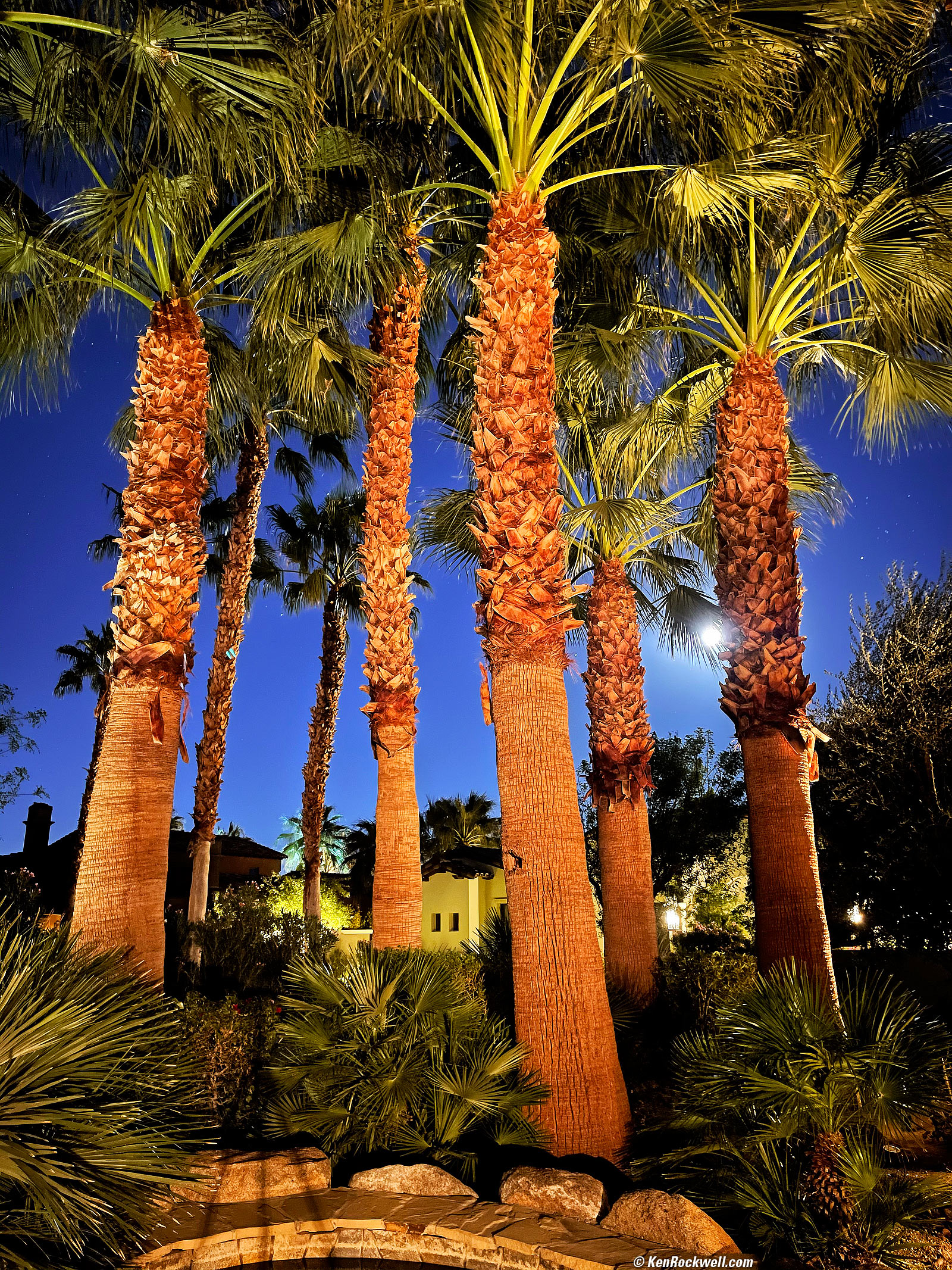 iPhone 12 Pro Max Sample Image File