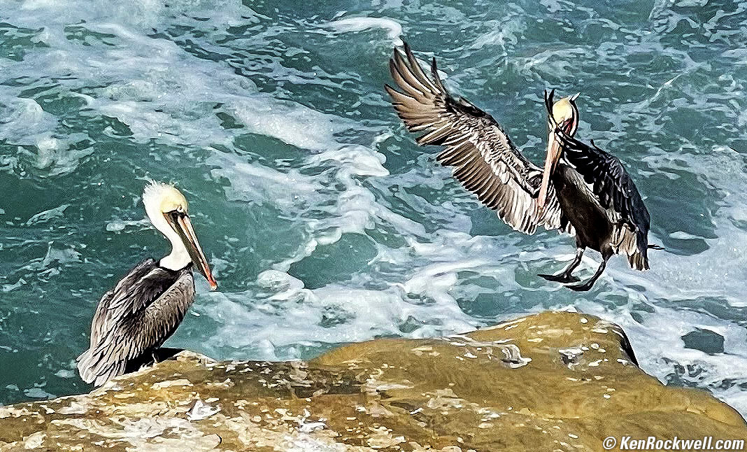 iPhone 12 Pro Max Sample Image File