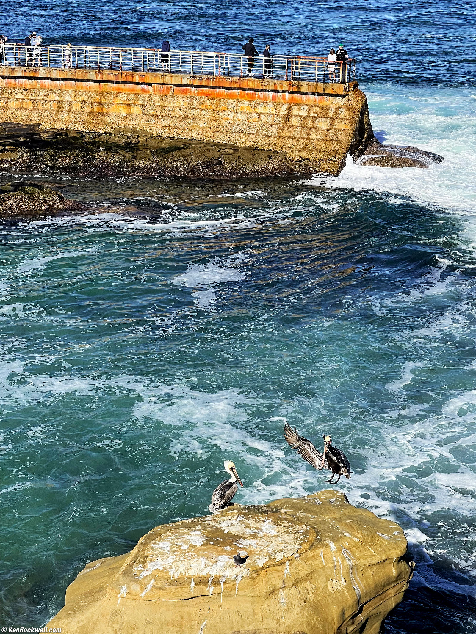 iPhone 12 Pro Max Sample Image File