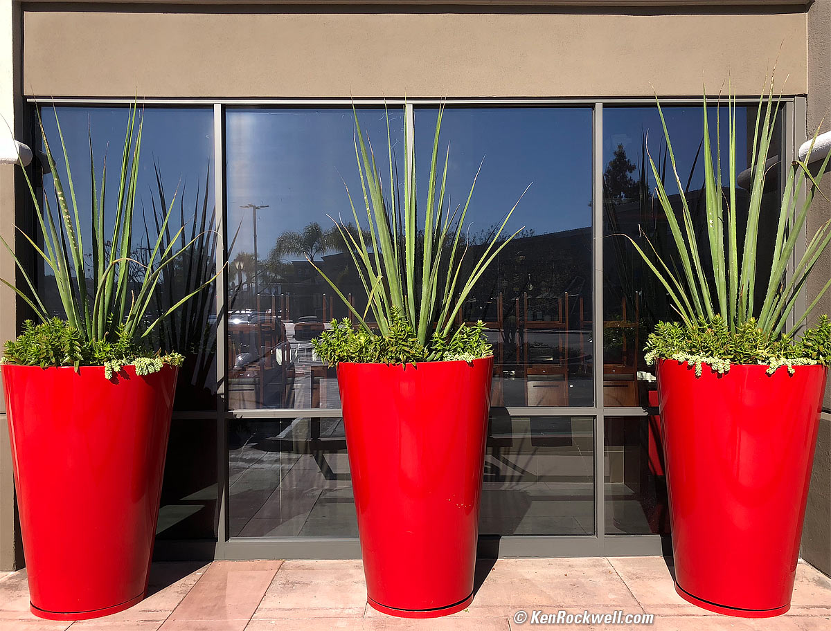 iPhone X camera sample image