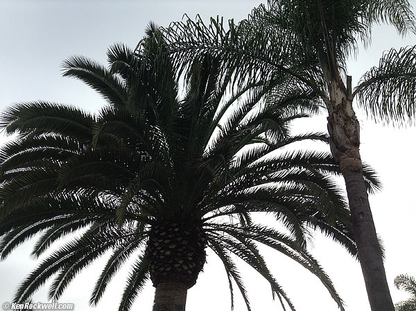 Apple iPod Touch 5G Sharpness 05 Dec 2012