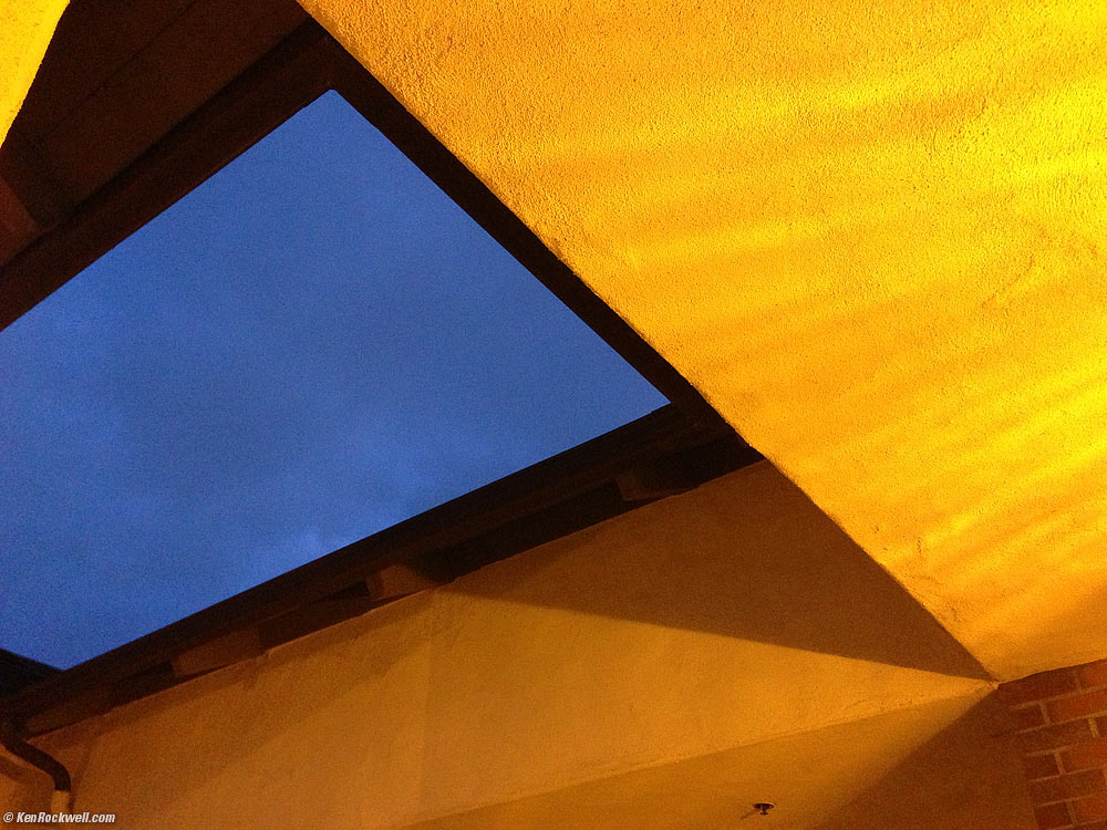 Palm by moonlight, 27 November 2012