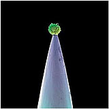 Peter Gabriel: New Blood