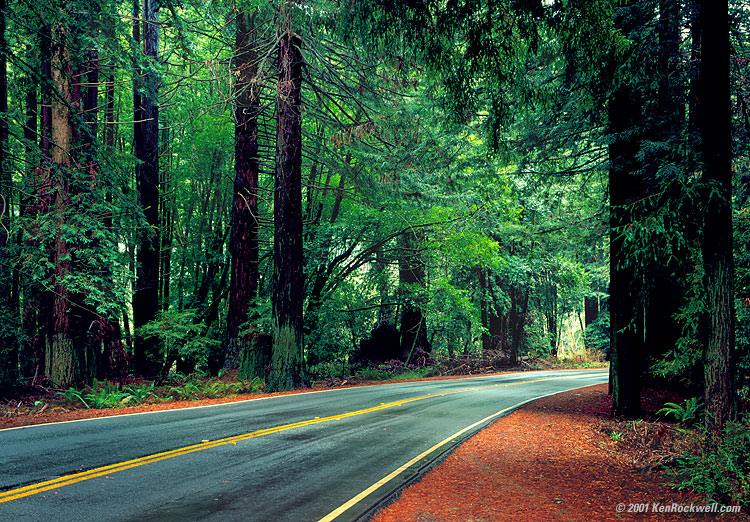 Rt 128 750 x 522 231kb