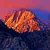 Mt. Whitney