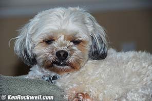 Preflash - Eyes Closed