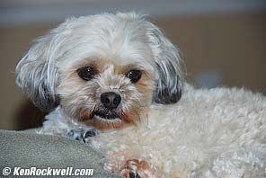 No preflash - eyes open