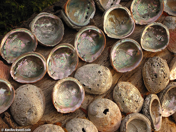 Abalone Inn, Inverness, California,