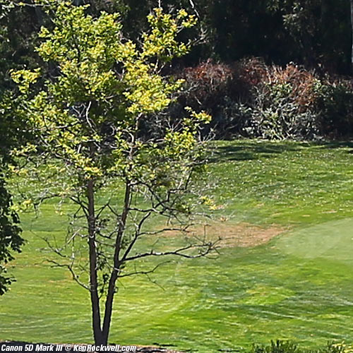 Canon 5D Mark III Review