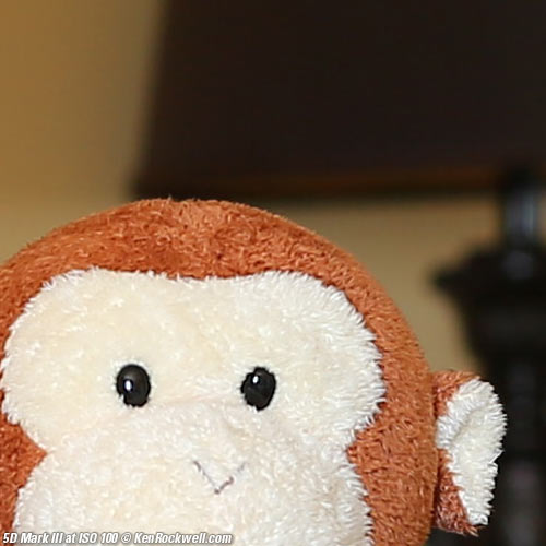 Canon 5D Mark III Review