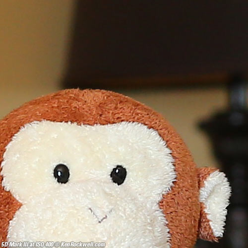 Canon 5D Mark III Review