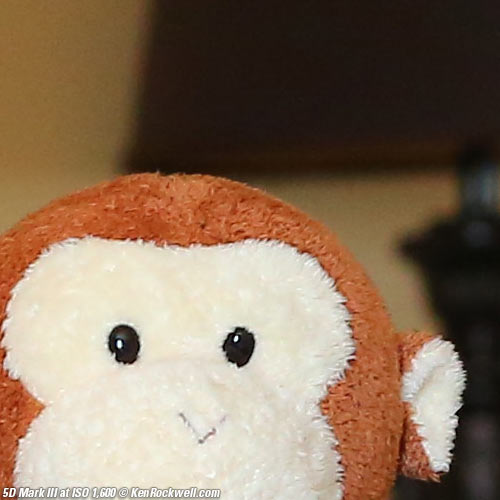 Canon 5D Mark III Review