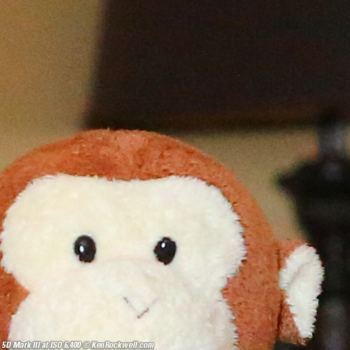 Canon 5D Mark III Review