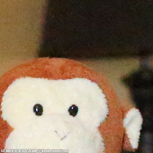 Canon 5D Mark III Review