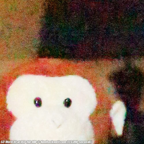 Canon 5D Mark III Review