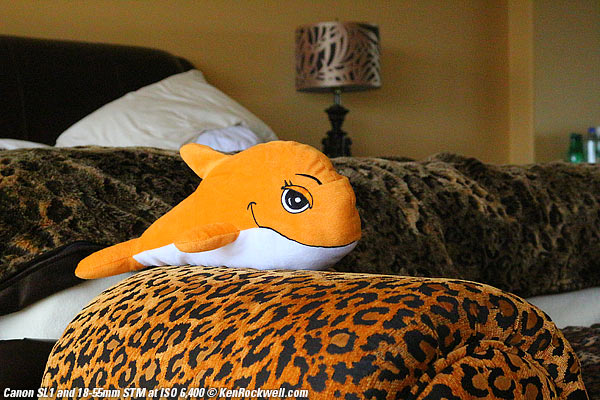 Canoin SL1 at ISO 6,400