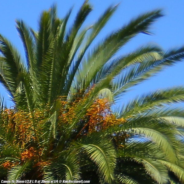 Canon 16-35mm f/2.8 L II Sharpness