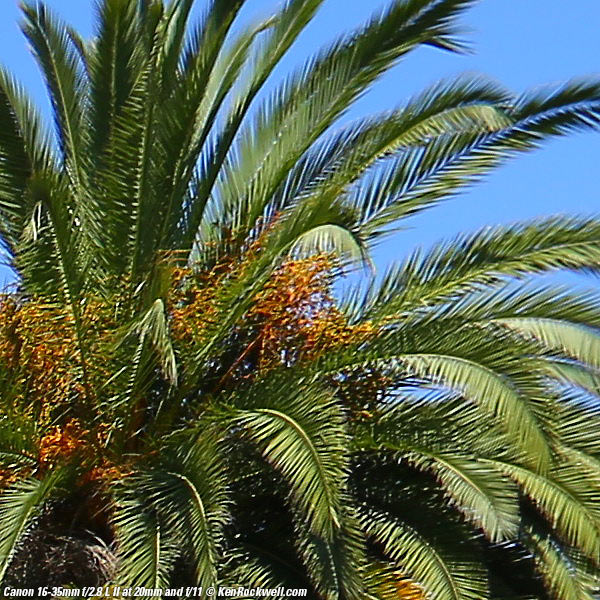 Canon 16-35mm f/2.8 L II Sharpness