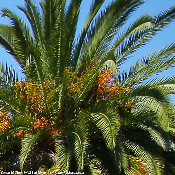 Canon 16-35mm f/4 L IS Sharpness