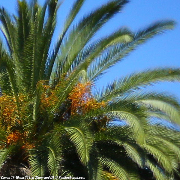 Canon 17-40mm f/4 L Sharpness