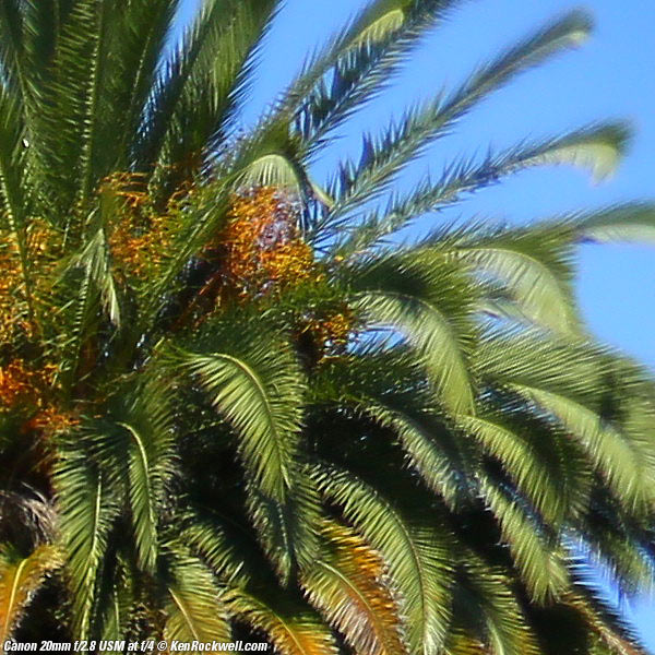 Canon 20mm f/2.8 USM Sharpness