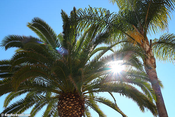 Canon 22mm f/2 ghosts