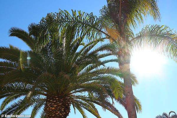 Canon 22mm f/2 ghosts