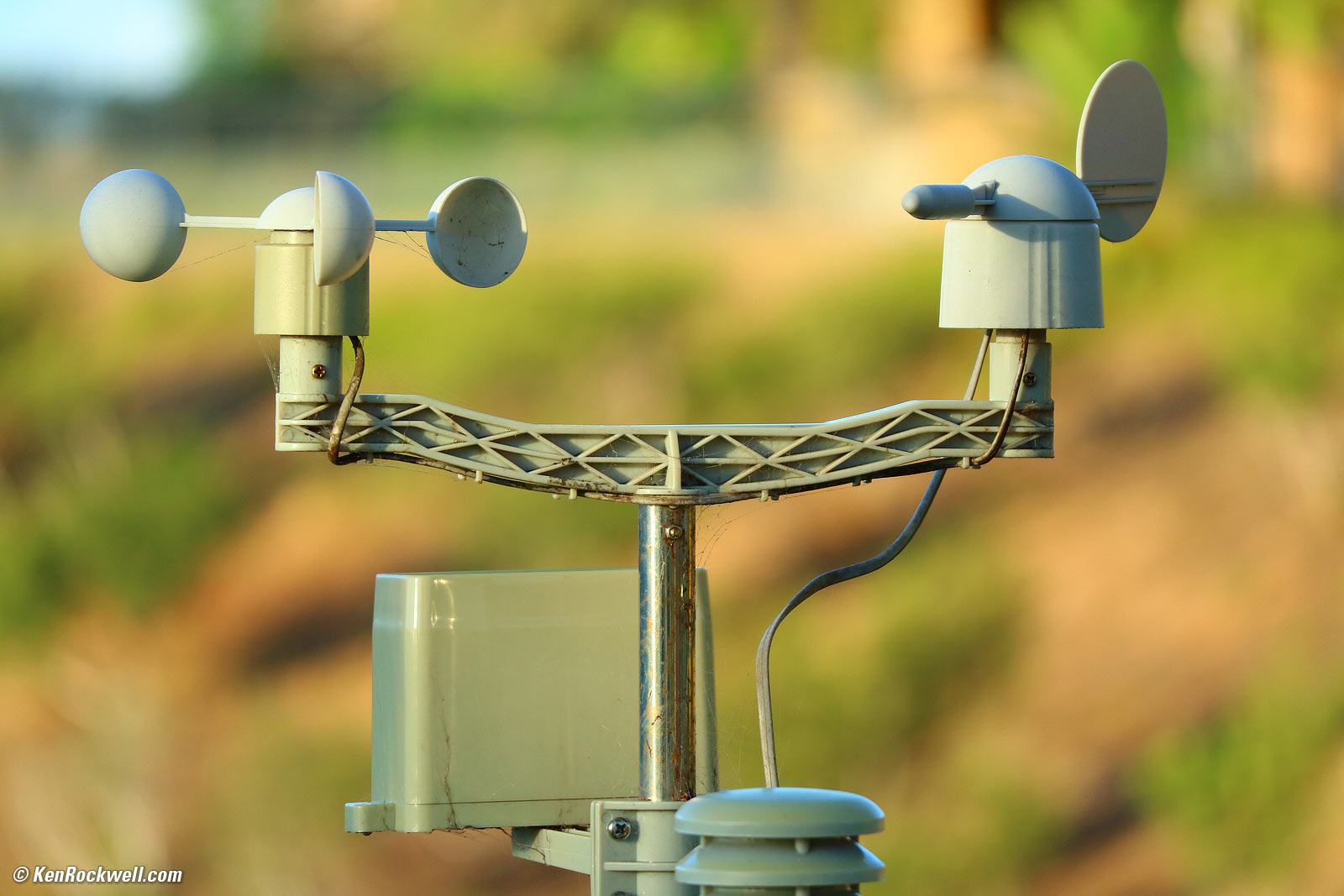 Canon 55-200mm IS STM Bokeh