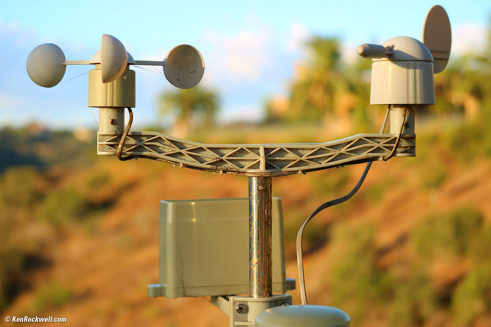 Canon 55-200mm  IS STM Bokeh