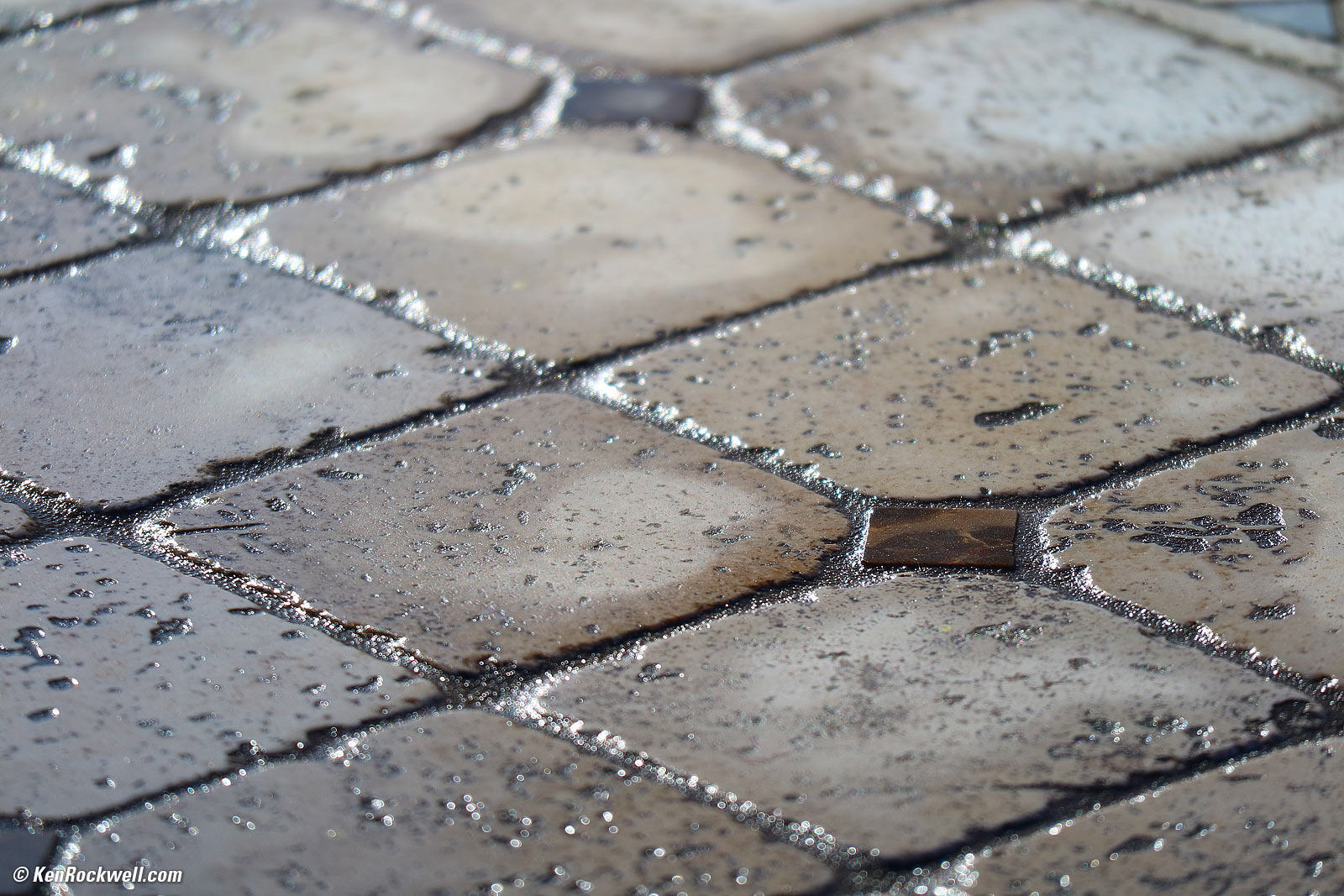 Canon 55-200mm IS STM Bokeh