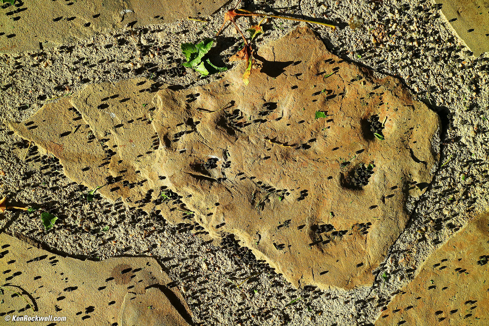 Walkway in sunlight, 01 November 2015