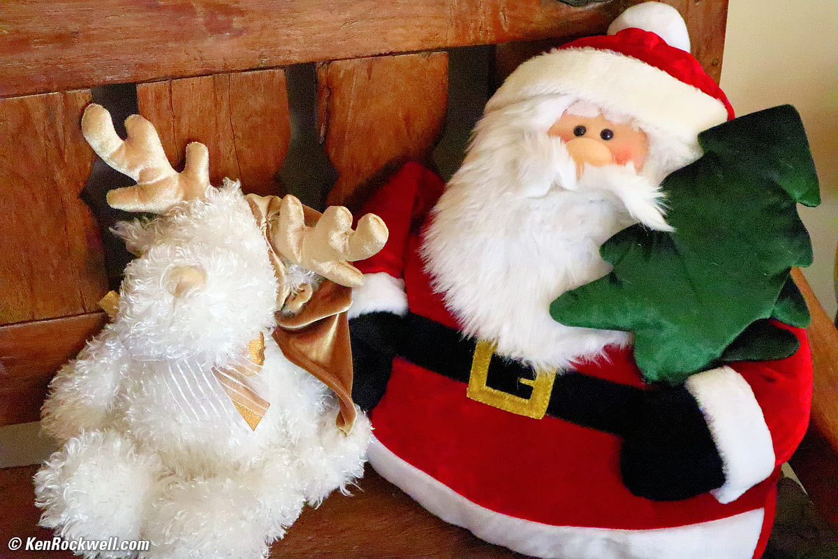 Ryan at Carnitas Snack Shack