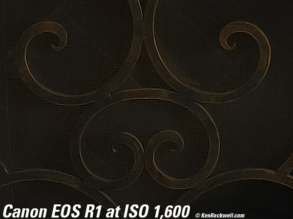 Canon EOS R1 High ISO Sample Image Files