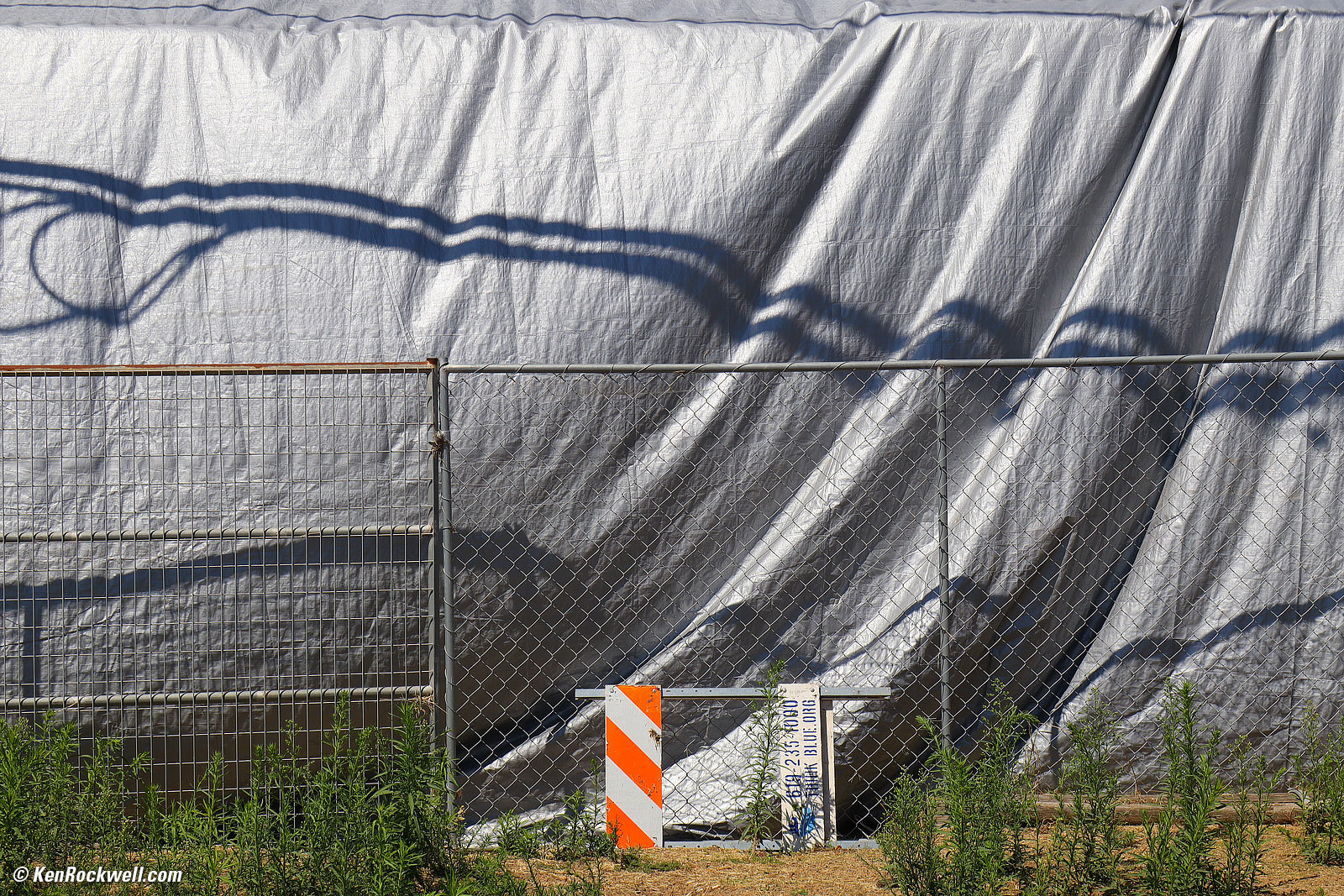 Canon EOS R100 Sample Image File