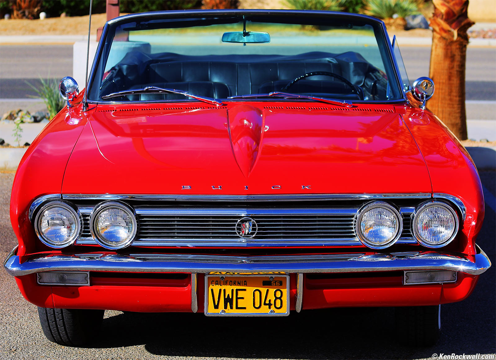 Canon EOS R3 Sample Image File