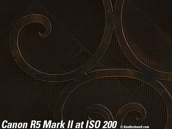 Canon R5 Mark II High ISO Sample Image File