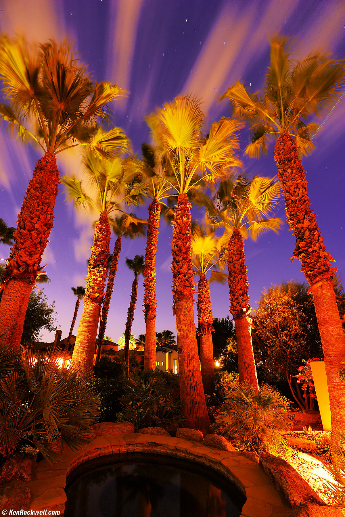 Canon EOS R5 Sample Image File