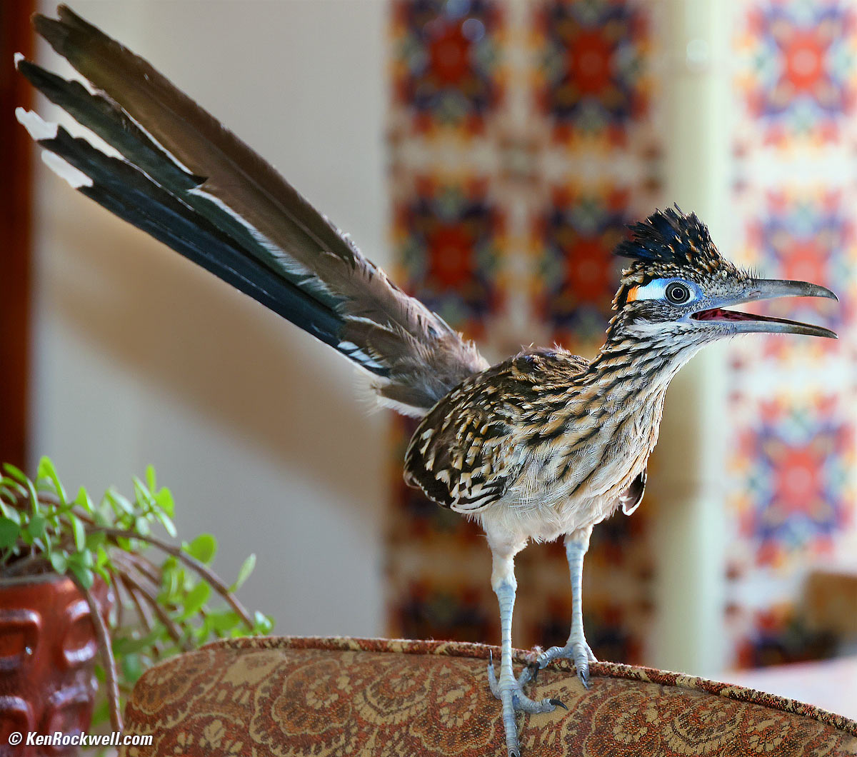 Canon EOS R5 Sample Image File