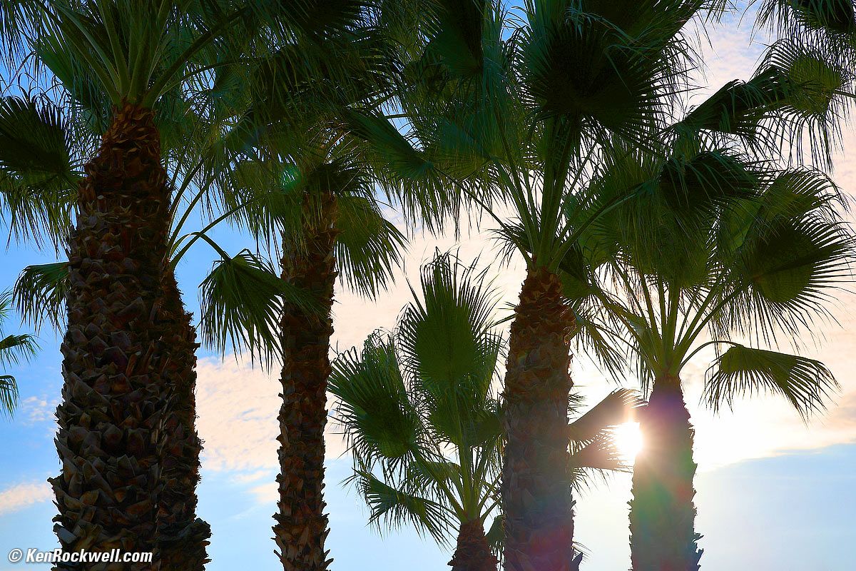 Canon EOS R5 Sample Image File