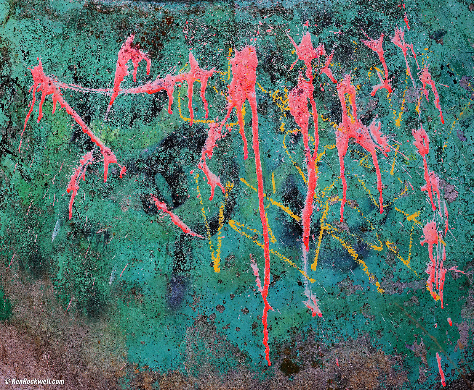 Canon RF 24-240mm Sample Image File