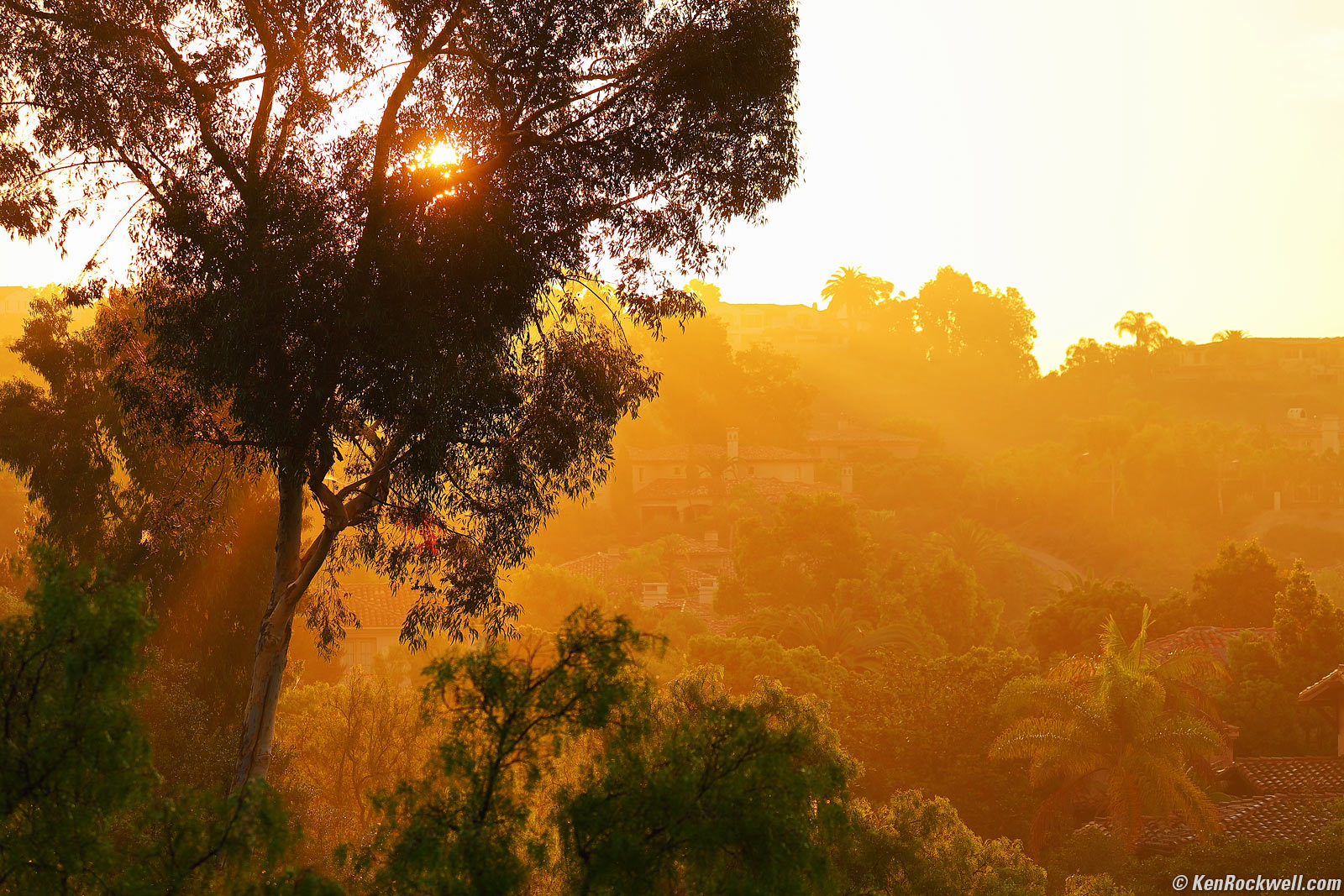 Canon EOS R6 II Sample Image File