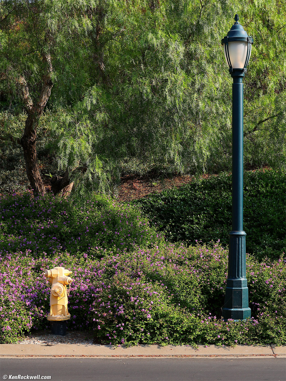 Canon EOS R6 Sample Image File