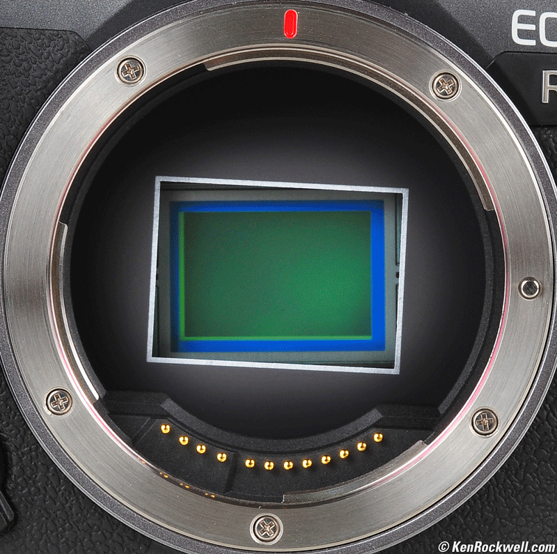 Canon EOS R7 Auto Level Mode in action