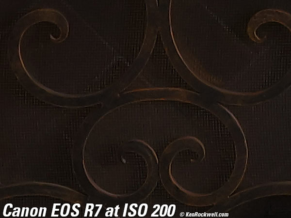 Canon EOS R7 High ISO Performance sample image file