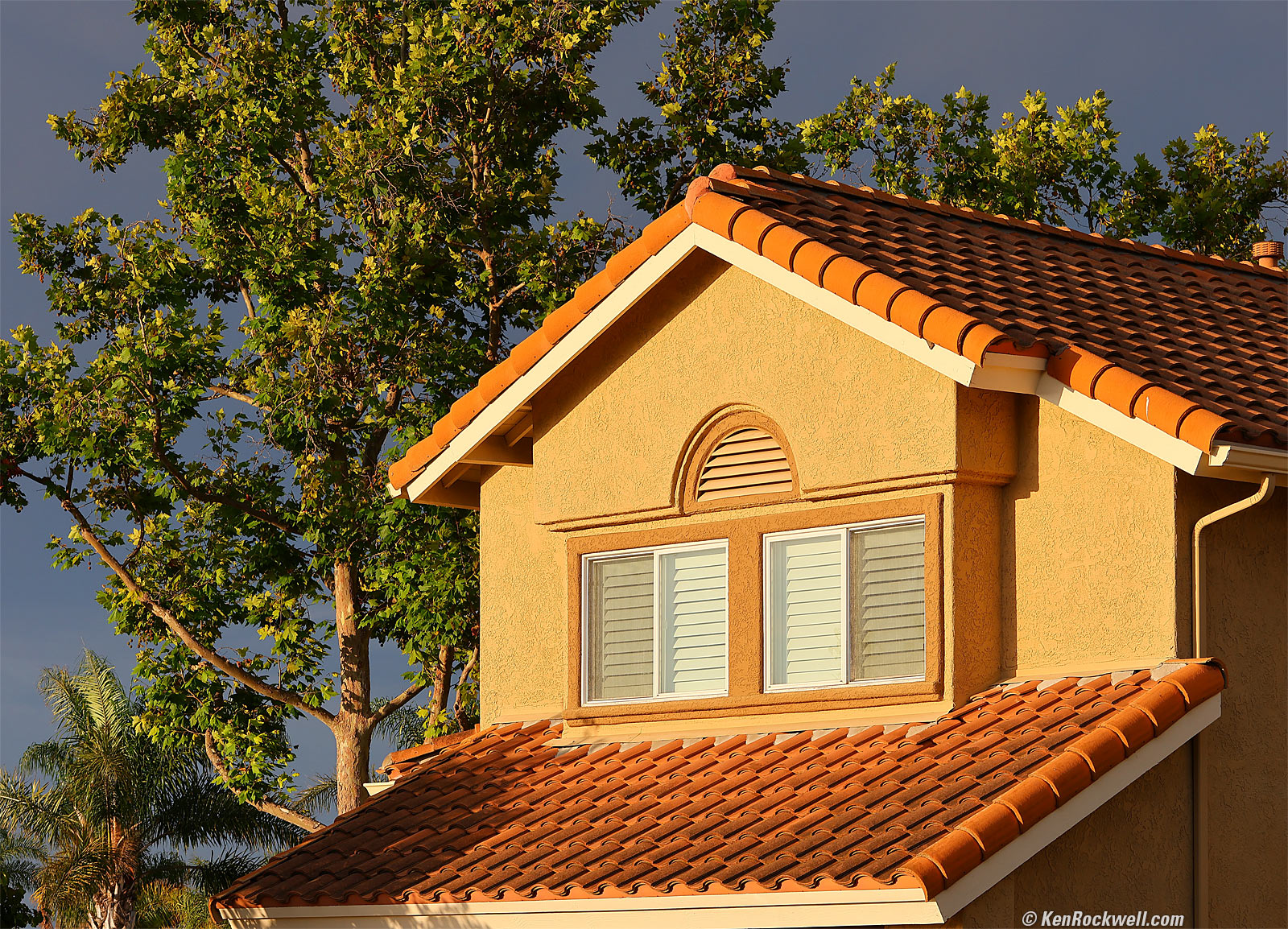 Canon EOS R7 Sample Image File