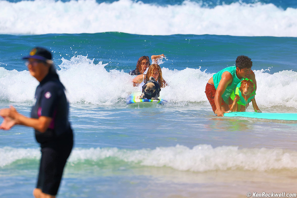 Canon EOS R7 Sample Image File